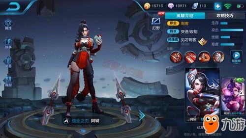 阿轲皮肤爆料最新版,暗夜刺客，神秘面纱下的致命诱惑  第3张